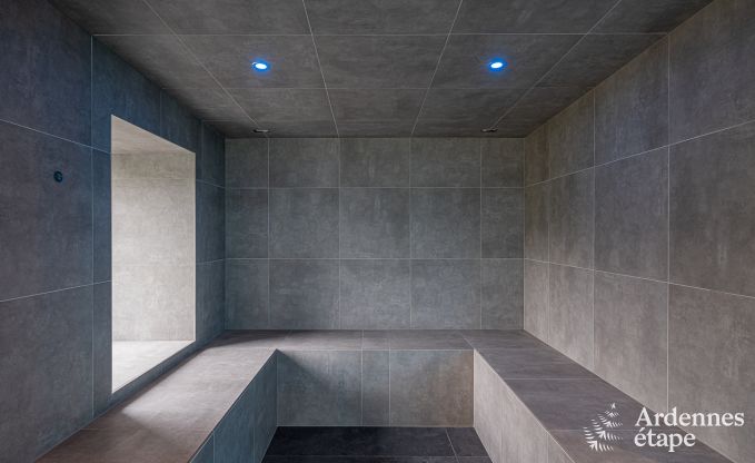 Ferienhaus Neufchteau 22/24 Pers. Ardennen Schwimmbad Wellness Behinderten gerecht