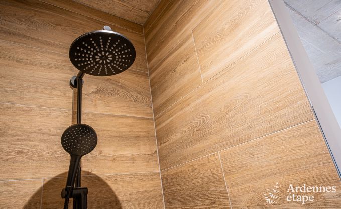 Ferienhaus Neufchteau 22/24 Pers. Ardennen Schwimmbad Wellness Behinderten gerecht