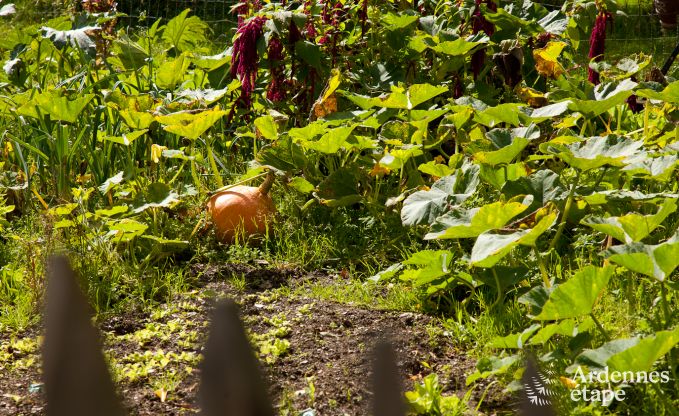 Ferienhaus Neufch�teau 4 Pers. Ardennen