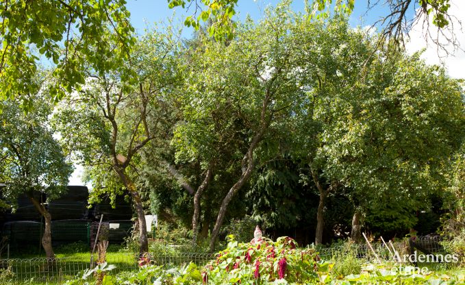 Ferienhaus Neufch�teau 4 Pers. Ardennen