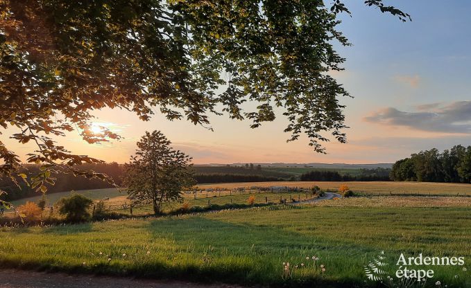 Komfortables Ferienhaus in Neufchateau, ideal fr 15 Personen, mit Whirlpool, Sauna und Spielmglichkeiten