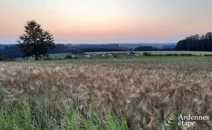Komfortables Ferienhaus in Neufchateau, ideal fr 15 Personen, mit Whirlpool, Sauna und Spielmglichkeiten