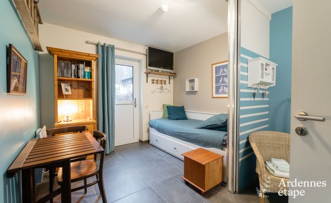 Komfortables Ferienhaus in Neufchateau, ideal fr 15 Personen, mit Whirlpool, Sauna und Spielmglichkeiten