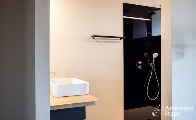 Luxusvilla Odeigne 21 Pers. Ardennen Schwimmbad Wellness Behinderten gerecht