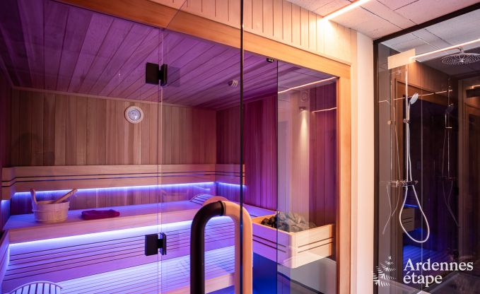 Luxusvilla Odeigne 21 Pers. Ardennen Schwimmbad Wellness Behinderten gerecht