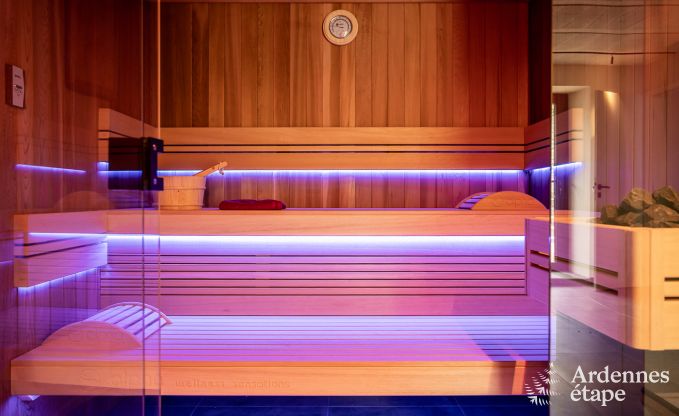Luxusvilla Odeigne 21 Pers. Ardennen Schwimmbad Wellness Behinderten gerecht