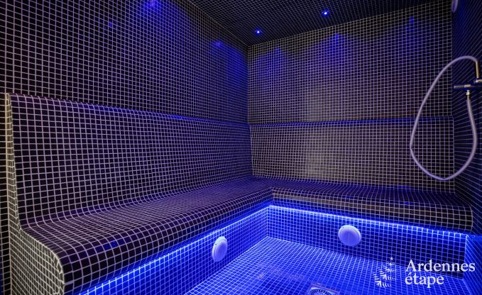 Luxusvilla Odeigne 21 Pers. Ardennen Schwimmbad Wellness Behinderten gerecht