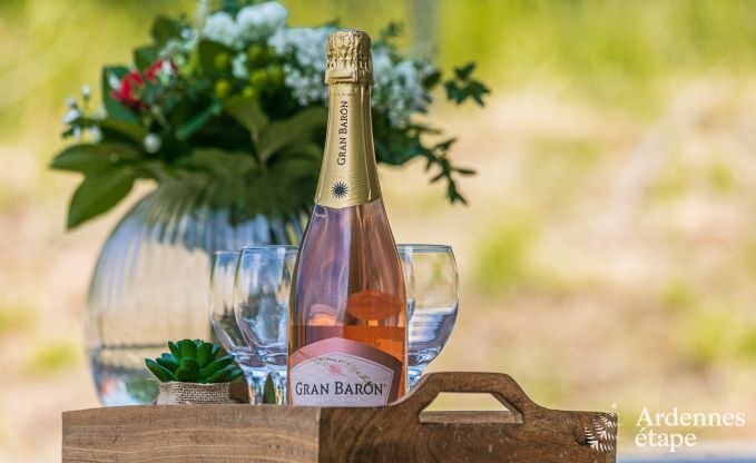 Ferienhaus Ohey 4 Pers. Ardennen