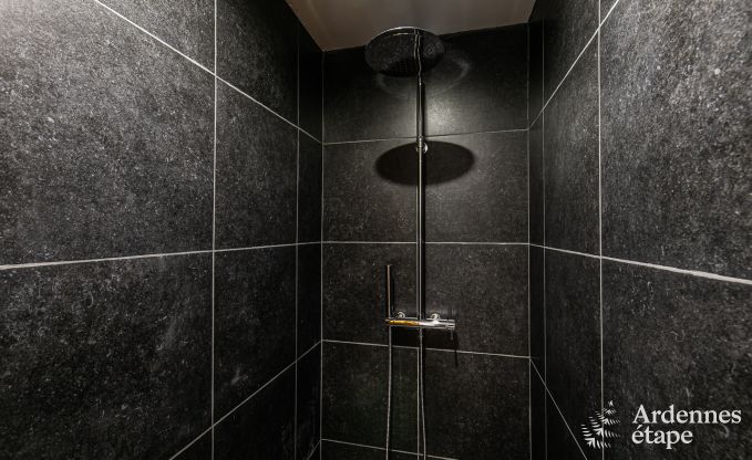 Ferienhaus Ohey 6/8 Pers. Ardennen Wellness