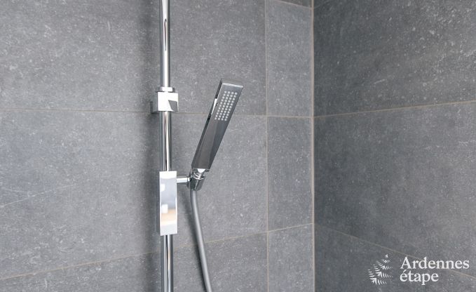 Ferienhaus Ohey 4/6 Pers. Ardennen Schwimmbad Wellness