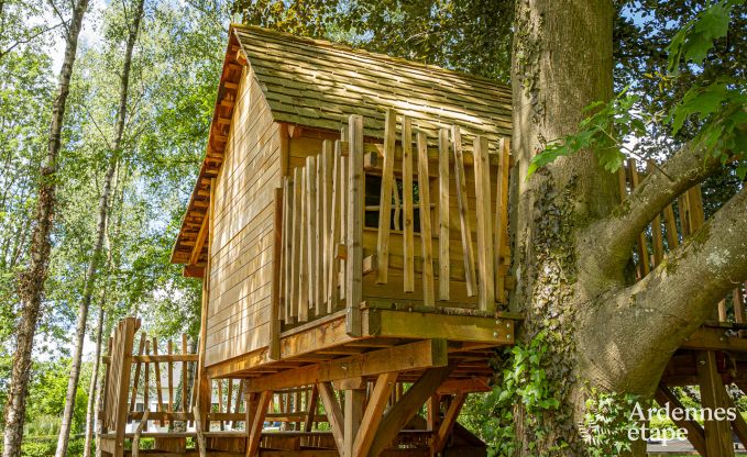 Luxusvilla Ohey 14 Pers. Ardennen Wellness