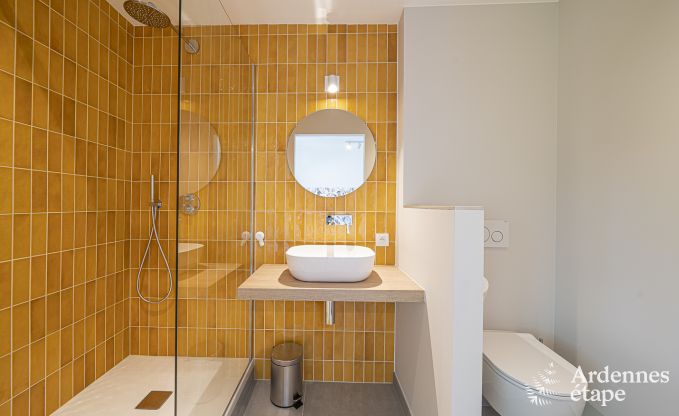 Luxusvilla Ohey 14 Pers. Ardennen Wellness