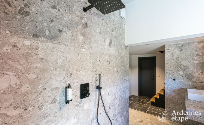 Wohnung Ohey 6 Pers. Ardennen Schwimmbad Wellness