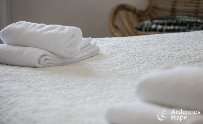 Wohnung Ohey 6 Pers. Ardennen Schwimmbad Wellness