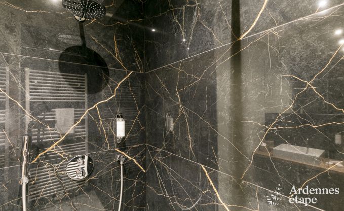 Wohnung Ohey 6 Pers. Ardennen Schwimmbad Wellness