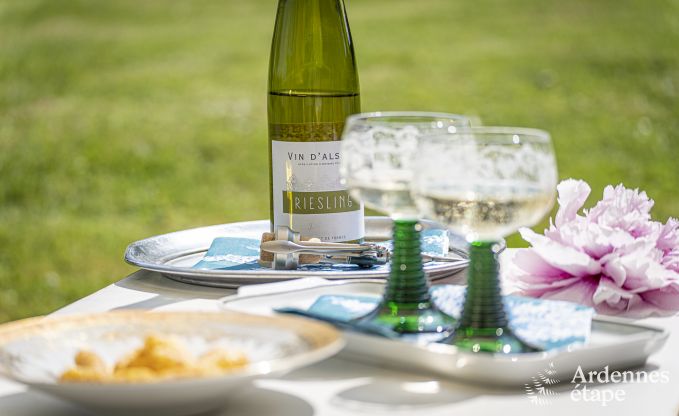 Ferienhaus mit Tennisplatz Onhaye 2/3 Pers. Ardennen