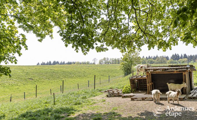 Ferienhaus mit Tennisplatz Onhaye 2/3 Pers. Ardennen