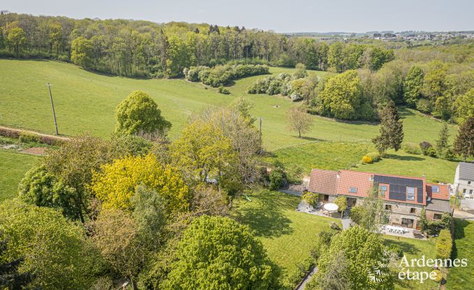 Ferienhaus mit Tennisplatz Onhaye 2/3 Pers. Ardennen