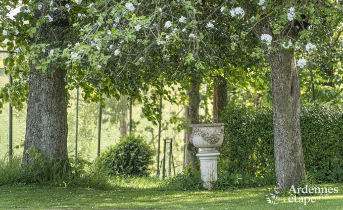 Ferienhaus mit Tennisplatz Onhaye 2/3 Pers. Ardennen