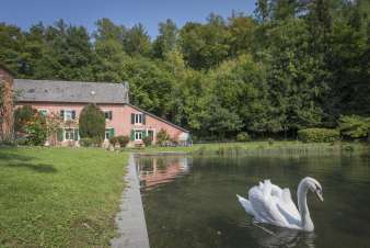 Malerisches Ferienhaus für 8 Personen in Orval in den Ardennen