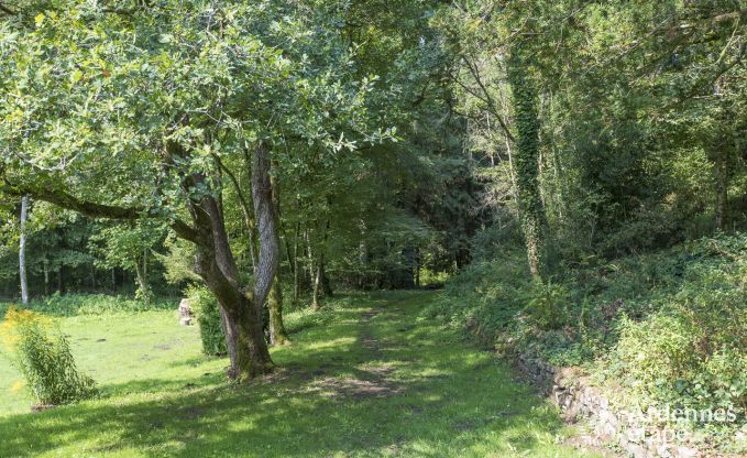 Ferienhaus Orval 12 Pers. Ardennen