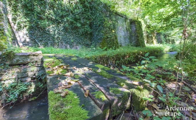 Ferienhaus Orval 12 Pers. Ardennen