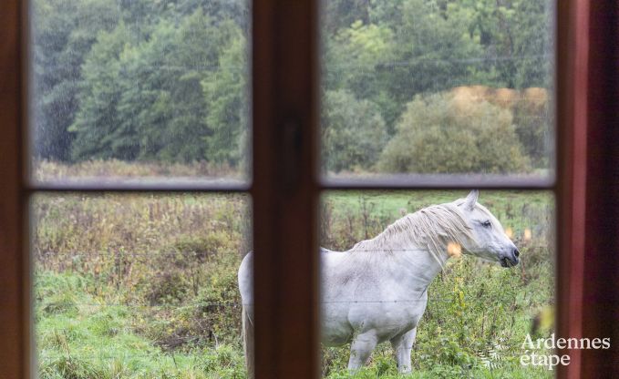 Ferienhaus Orval 6 Pers. Ardennen