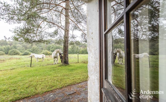 Ferienhaus Orval 6 Pers. Ardennen