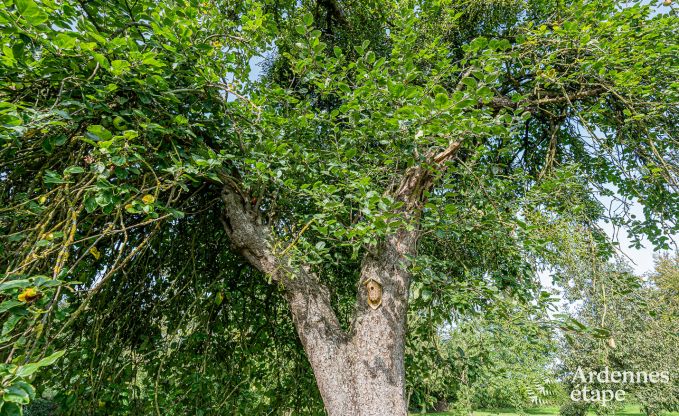 Ferienhaus Oteppe 6/7 Pers. Ardennen Behinderten gerecht