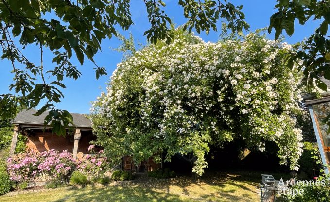 Charmantes, hundefreundliches Ferienhaus in Ouffet, Ardennen