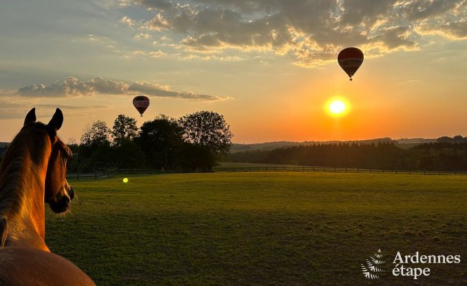 Vollst�ndig renoviertes, authentisches Ferienhaus in Ouffet, Ardennen