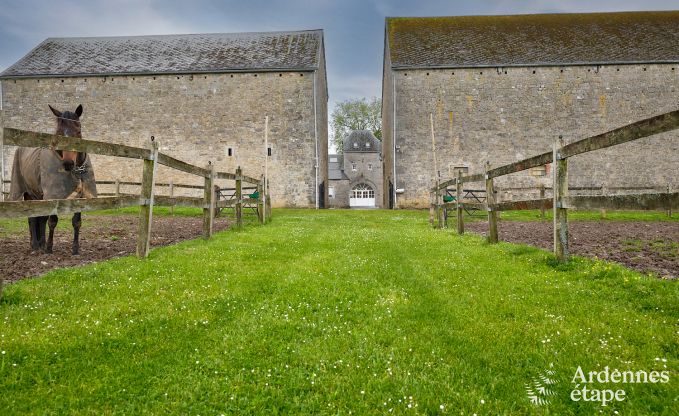 Vollst�ndig renoviertes, authentisches Ferienhaus in Ouffet, Ardennen
