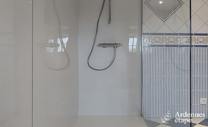 Ferienhaus Ouffet 9 Pers. Ardennen Schwimmbad Wellness