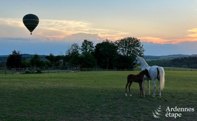 Vollst�ndig renoviertes, authentisches Ferienhaus in Ouffet, Ardennen