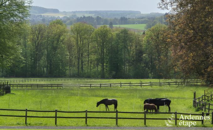 Vollst�ndig renoviertes, authentisches Ferienhaus in Ouffet, Ardennen