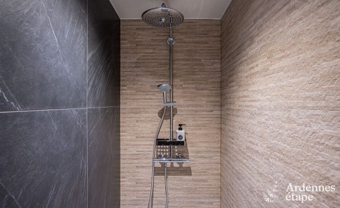 Luxus Schloss fr 30 Personen in Ouffet mit 14 Schlafzimmern, 12 Badezimmern, Hallenbad, Sauna und Privatgarten