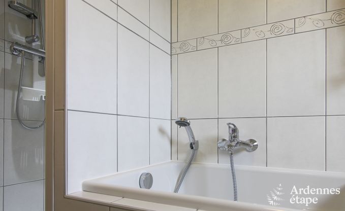 Ger�umiges und modernes Ferienhaus aus Naturstein in Ovifat, Hohes Venn