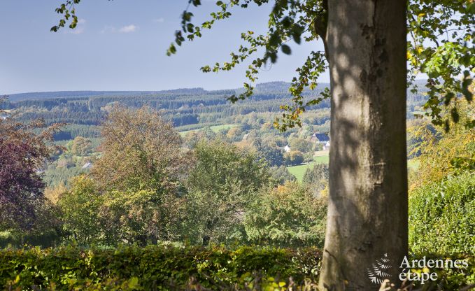 Ferienhaus Ovifat 36 Pers. Ardennen Wellness