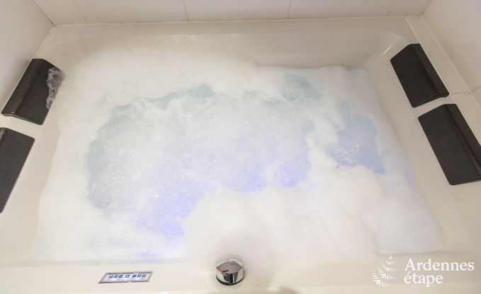 Ferienhaus Ovifat 9 Pers. Ardennen Wellness