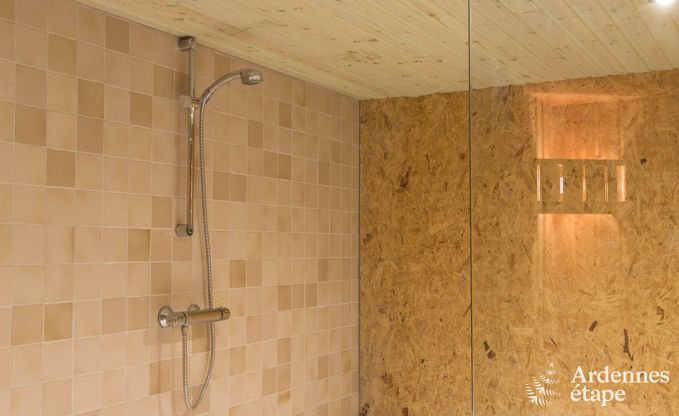 Ferienhaus Ovifat 15 Pers. Ardennen Wellness