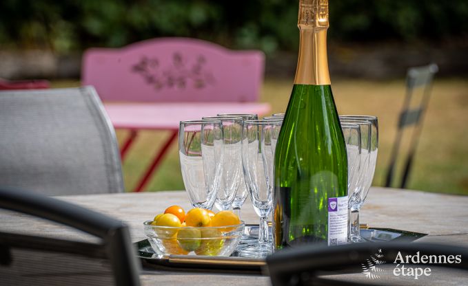 Ferienhaus Ovifat 16 Pers. Ardennen Wellness