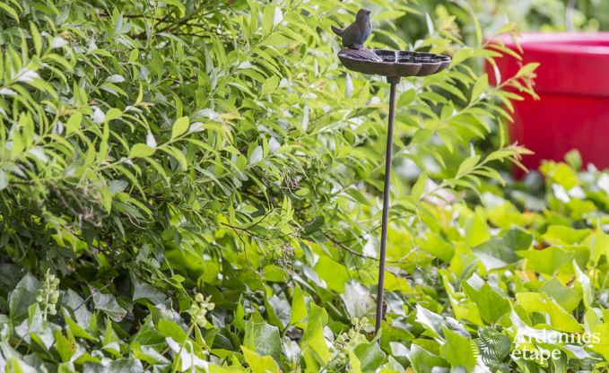 Ferienhaus Ovifat 6/8 Pers. Ardennen Wellness