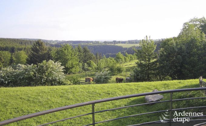 Luxusvilla Ovifat 18 Pers. Ardennen Wellness