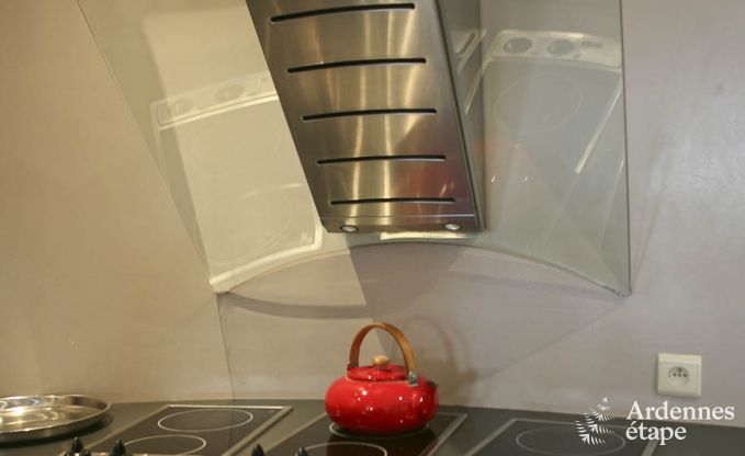 Luxusvilla Ovifat 18 Pers. Ardennen Wellness