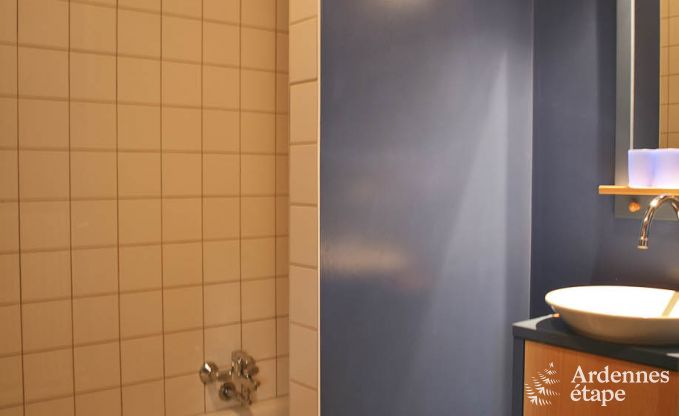 Luxusvilla Ovifat 18 Pers. Ardennen Wellness