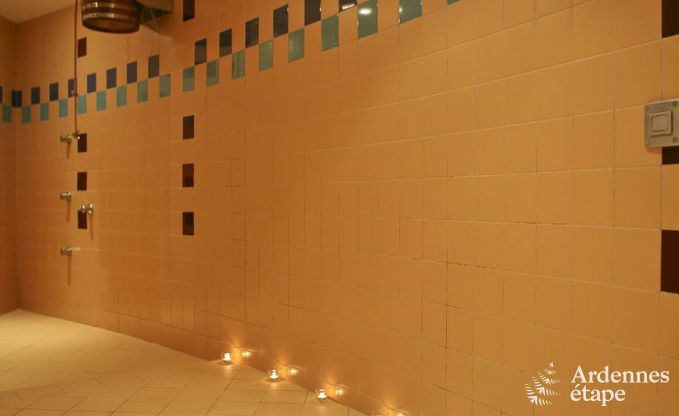 Luxusvilla Ovifat 18 Pers. Ardennen Wellness