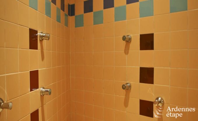 Luxusvilla Ovifat 18 Pers. Ardennen Wellness