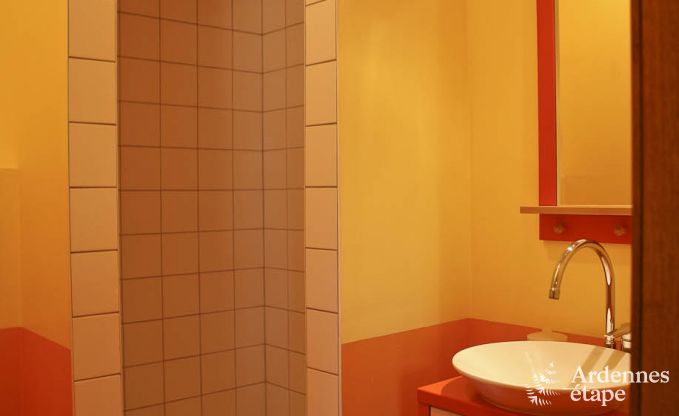 Luxusvilla Ovifat 18 Pers. Ardennen Wellness