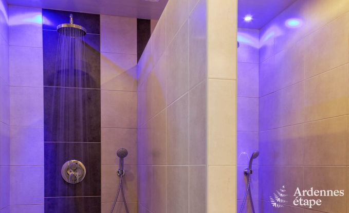 Luxusvilla Ovifat 12/14 Pers. Ardennen Schwimmbad Wellness