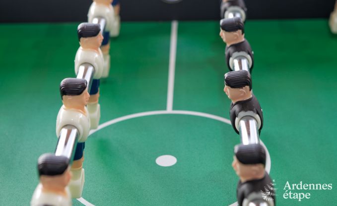 Luxusvilla Ovifat 12/14 Pers. Ardennen Schwimmbad Wellness